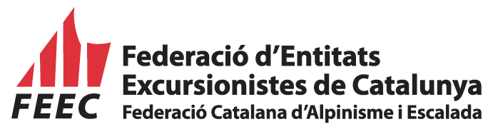 Logo FEEC